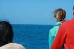 Click to enlarge Dry Tortugas National Park, Florida, United States. First glimpses of Dry Tortugas National Park