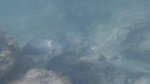 Click to enlarge Dry Tortugas National Park, Florida, United States. Fish spotted while snorkeling.