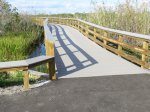 Click to enlarge Everglades National Park, Florida, United States. Anhinga Trail