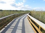 Click to enlarge Everglades National Park, Florida, United States. Anhinga Trail