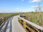 Click to enlarge Everglades National Park, Florida, United States. Anhinga Trail
