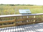 Click to enlarge Everglades National Park, Florida, United States. Anhinga Trail
