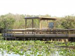 Click to enlarge Everglades National Park, Florida, United States. Anhinga Trail