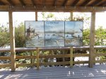 Click to enlarge Everglades National Park, Florida, United States. Anhinga Trail