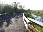 Click to enlarge Everglades National Park, Florida, United States. Anhinga Trail