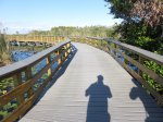 Click to enlarge Everglades National Park, Florida, United States. Anhinga Trail
