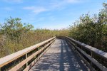 Click to enlarge Everglades National Park, Florida, United States. Boardwalk at Royal Palms