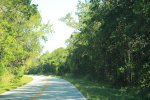 Click to enlarge Everglades National Park, Florida, United States.