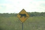 Click to enlarge Everglades National Park, Florida, United States.