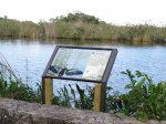 Click to enlarge Everglades National Park, Florida, United States.