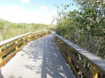 Click to enlarge Everglades National Park, Florida, United States.