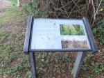 Click to enlarge Everglades National Park, Florida, United States. Gumbo Limbo Trail