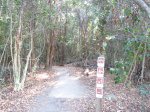 Click to enlarge Everglades National Park, Florida, United States. Gumbo Limbo Trail
