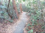 Click to enlarge Everglades National Park, Florida, United States. Gumbo Limbo Trail