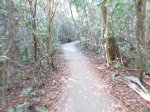 Click to enlarge Everglades National Park, Florida, United States. Gumbo Limbo Trail