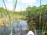 Click to enlarge Everglades National Park, Florida, United States. Nine Mile Pond canoe route through the mangroves.