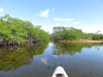 Click to enlarge Everglades National Park, Florida, United States. Nine Mile Pond canoe route through the mangroves.