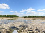 Click to enlarge Everglades National Park, Florida, United States. Nine Mile Pond canoe route through the mangroves.