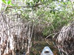 Click to enlarge Everglades National Park, Florida, United States. Nine Mile Pond canoe route through the mangroves.