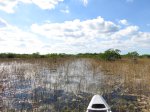 Click to enlarge Everglades National Park, Florida, United States. Nine Mile Pond canoe route through the mangroves.