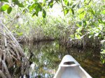 Click to enlarge Everglades National Park, Florida, United States. Nine Mile Pond canoe route through the mangroves.