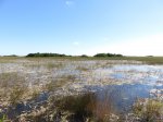 Click to enlarge Everglades National Park, Florida, United States. Shark Valley bike and tram trail