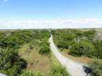 Click to enlarge Everglades National Park, Florida, United States. Shark Valley bike and tram trail