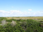 Click to enlarge Everglades National Park, Florida, United States. Shark Valley bike and tram trail