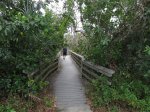 Click to enlarge Everglades National Park, Florida, United States. West Lake trail