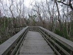Click to enlarge Everglades National Park, Florida, United States. West Lake trail.