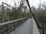 Click to enlarge Everglades National Park, Florida, United States. West Lake trail all boardwalk.