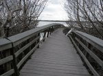 Click to enlarge Everglades National Park, Florida, United States. West Lake trail damage from hurricane.