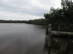 Click to enlarge Everglades National Park, Florida, United States. Westlake picnic area.