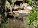 Click to enlarge Blue Spring State Park, Florida, United States.