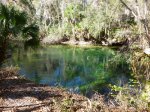 Click to enlarge Blue Spring State Park, Florida, United States.