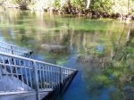 Click to enlarge Blue Spring State Park, Florida, United States.