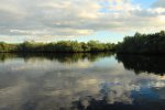 Area seen by campground dock. Waterway leads into the mangrove.