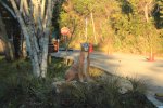 Entrance.