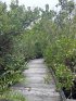 Royal Palm Hammock Nature trail closed for repair from hurricane.
