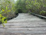 Royal Palm Hammock Nature trail closed for repair from hurricane.