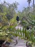 Royal Palm Hammock Nature trail closed for repair from hurricane.