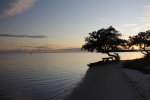 Click to enlarge Curry Hammock State Park, Florida, United States.