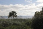 Click to enlarge Curry Hammock State Park, Florida, United States.