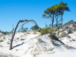 Click to enlarge St. George Island State Park, Florida, United States.