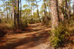 Click to enlarge St. George Island State Park, Florida, United States.