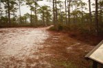 Click to enlarge St. George Island State Park, Florida, United States.