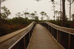 Click to enlarge St. George Island State Park, Florida, United States.