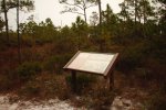 Click to enlarge St. George Island State Park, Florida, United States.