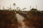 Click to enlarge St. George Island State Park, Florida, United States.