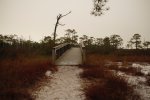Click to enlarge St. George Island State Park, Florida, United States.